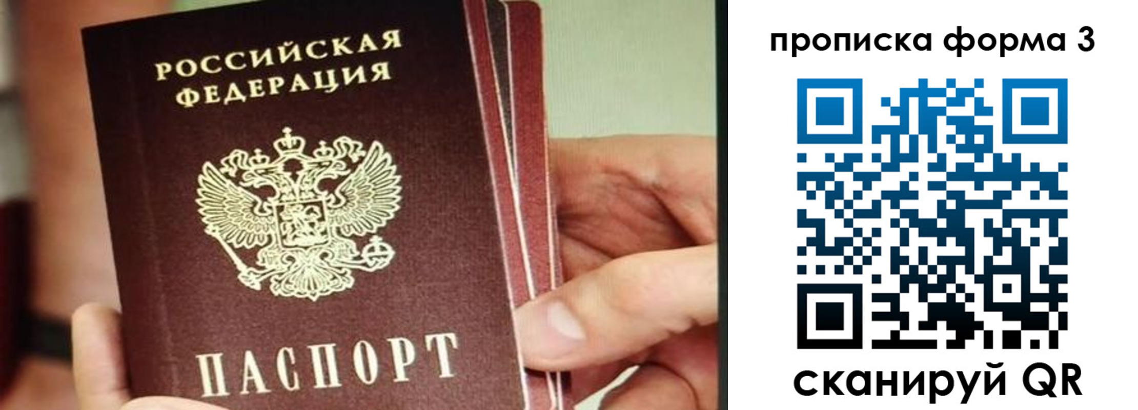 прописка законно в Соколе